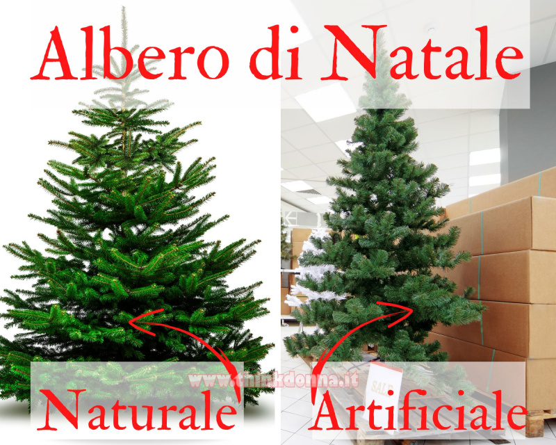 tipi di albero di Natale naturale vero artificiale rami abete verde pacchi