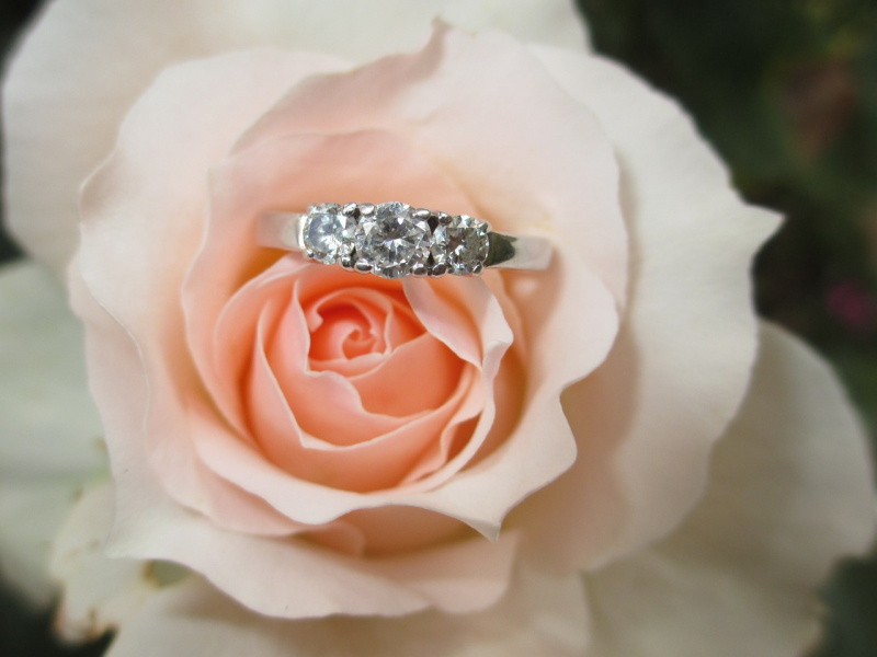 trilogy ring anello platino oro bianco diamanti fiore rosa