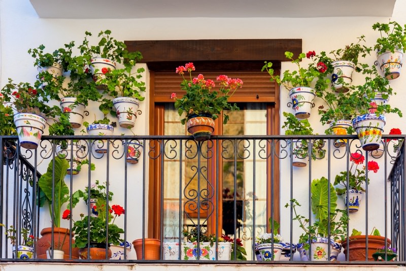 balcone con piante fiorite vasi gerani 