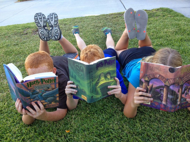 fratellini lettura estiva libri romanzo Harry Potter