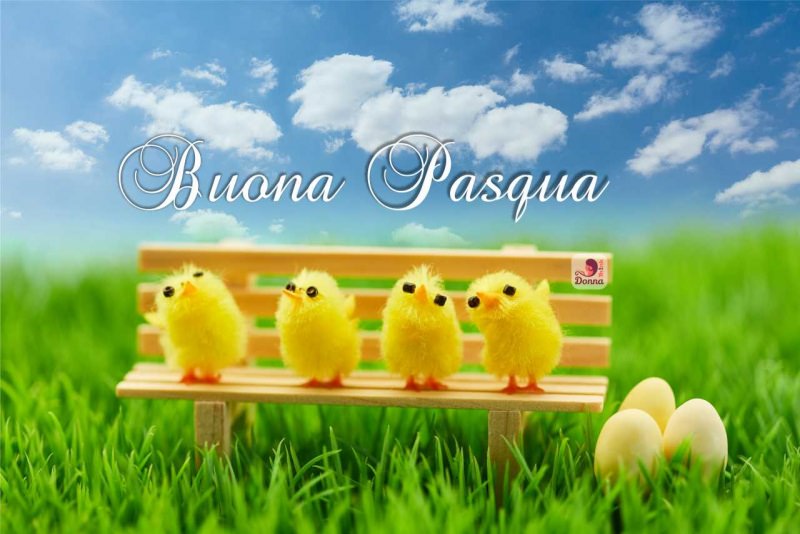 buona pasqua pulcini