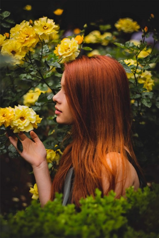 capelli rosso rame fiori rose gialle