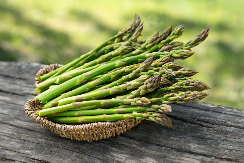 asparagi freschi natura verde