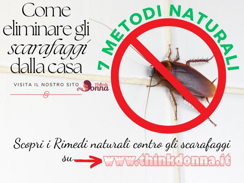 piastrella bianca segno divieto su blatta scarafaggio come eliminare 