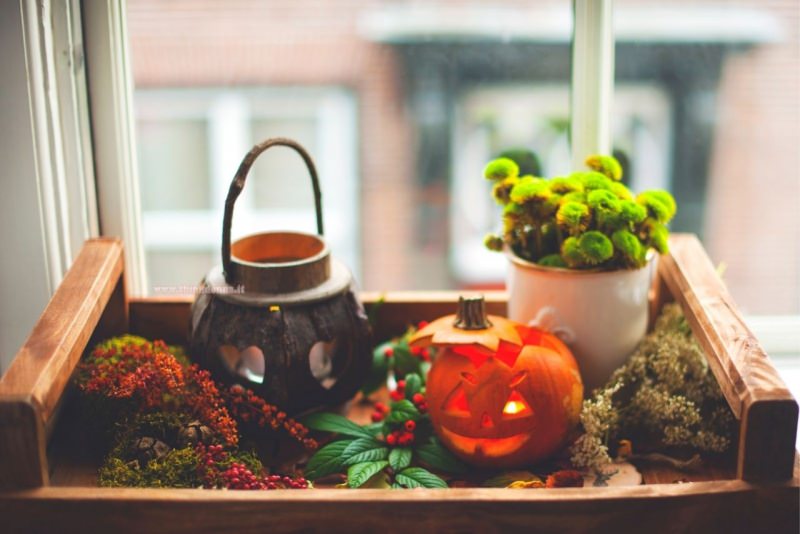 decorazioni halloween interno casa vassoio zucche intagliate lanterna candela foglie bacche tazza fiori