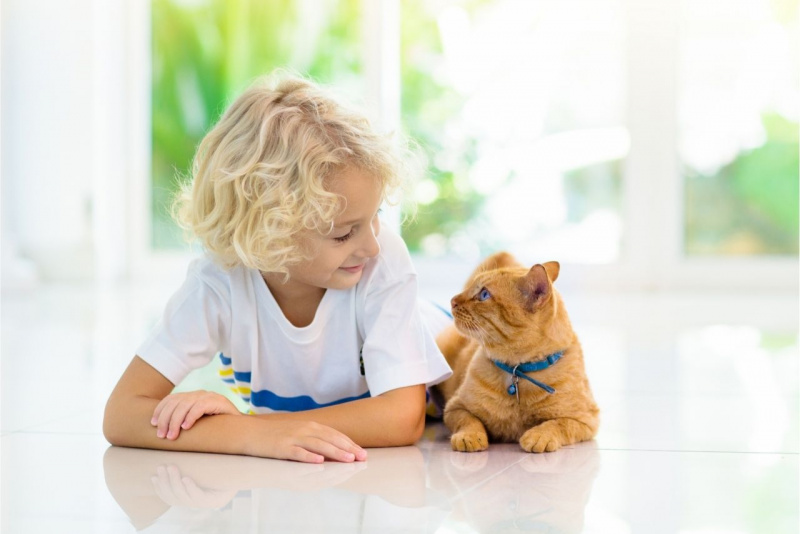bambino capelli biondi e gatto si guardano pet therapy