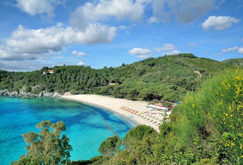 spiaggia Fetovaia isola d'Elba lido bosco alberi