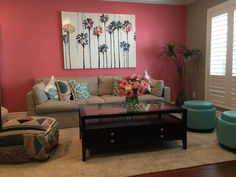 parete casa colore corallo quadri divano soggiorno vaso fiori rosa tavolo tappeto