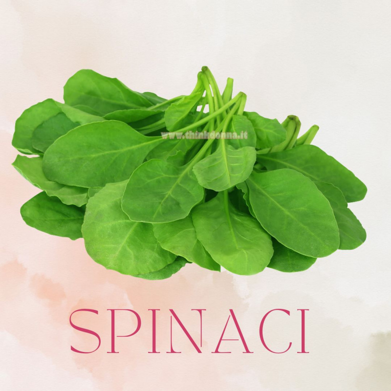spinacio