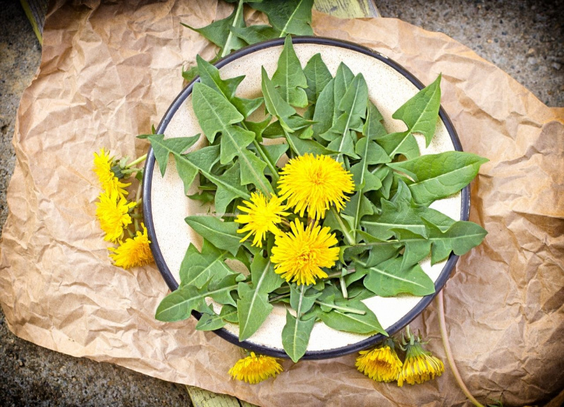 piatto con fiori e foglie di tarassaco