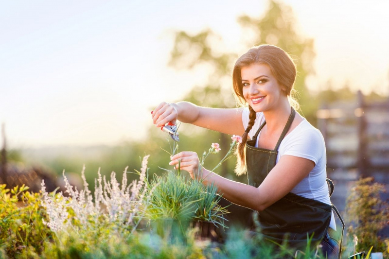 bella giovane donna sorriso capelli castani treccia cesoie giardinaggio fiori garofani rosa