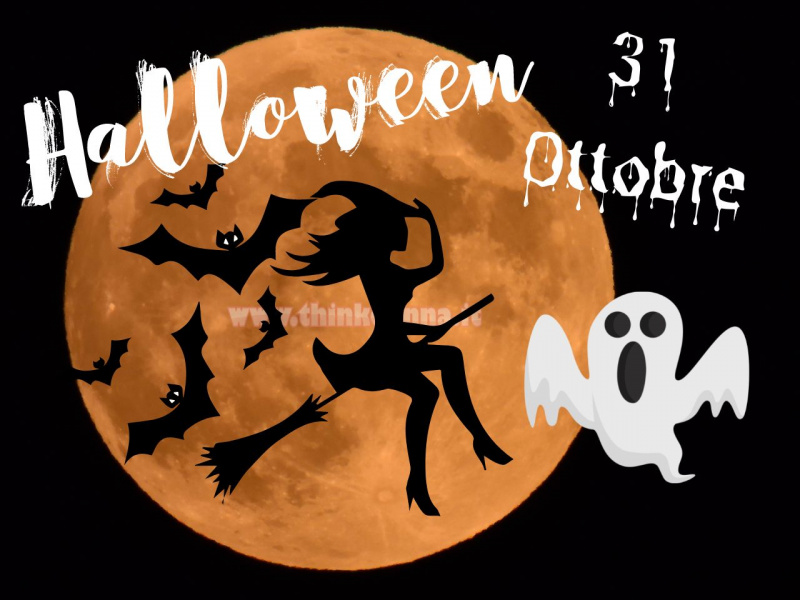illustrazione concetto Halloween notte 31 ottobre scritta pipistrelli fondo nero luna piena arnacione 