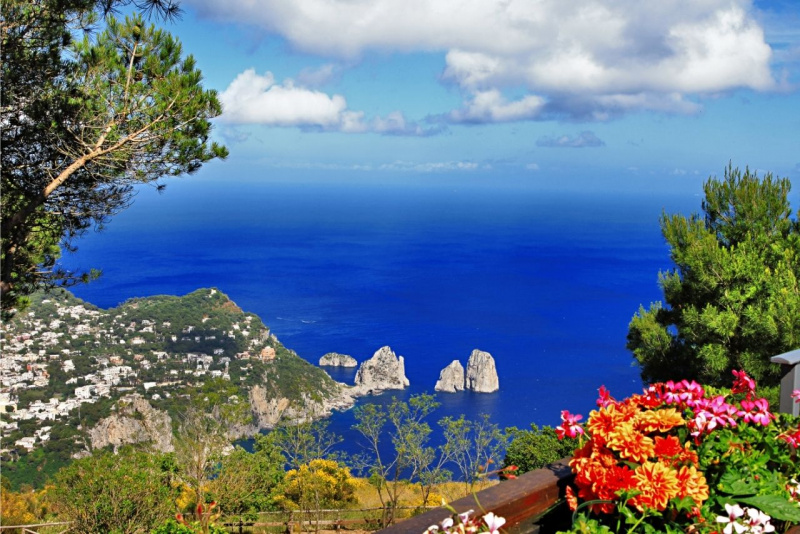 mare Capri fiori