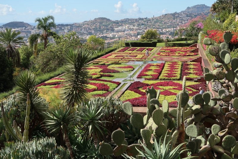 Madeira giardini botanici Viaggiare ad aprile, dove andare? Le migliori mete di viaggio per il Ponte di Pasqua.