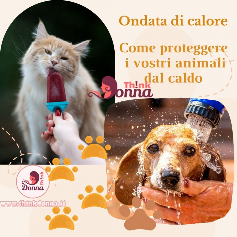 gatto lecca ghiacciolo doccia su cane ondata di calore protezione animali