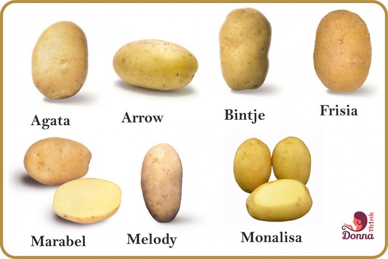 Come fare il pur di patate Contorno tradizione Ricetta facile che tipo di patate scegliere per preparare il pur? Qualit variet patata Agata Arrow Bintje Frisia Marabel Melody Monalisa ingredienti