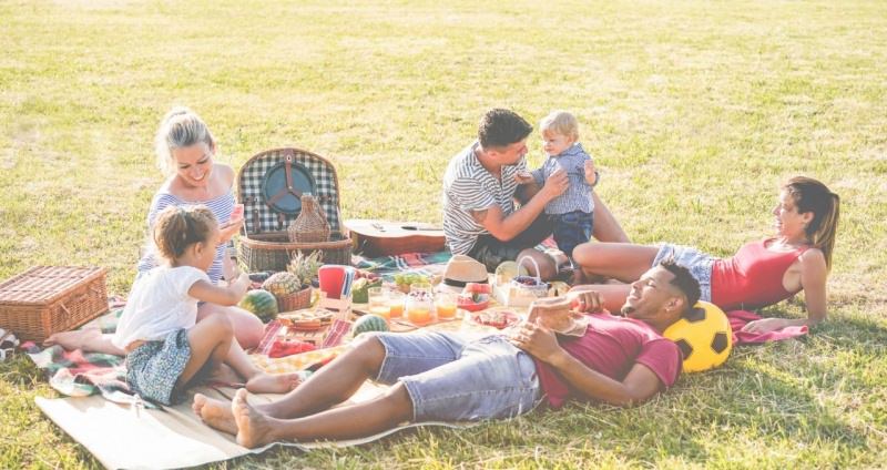 pic nic all'aperto famigle bambini relax prato campagna cesto