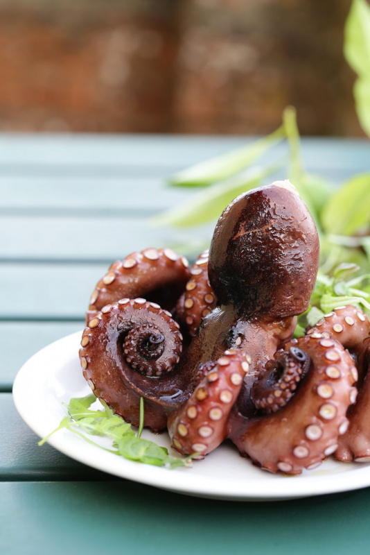 piatto pronto in tavola polpo cotto con insalata foglie