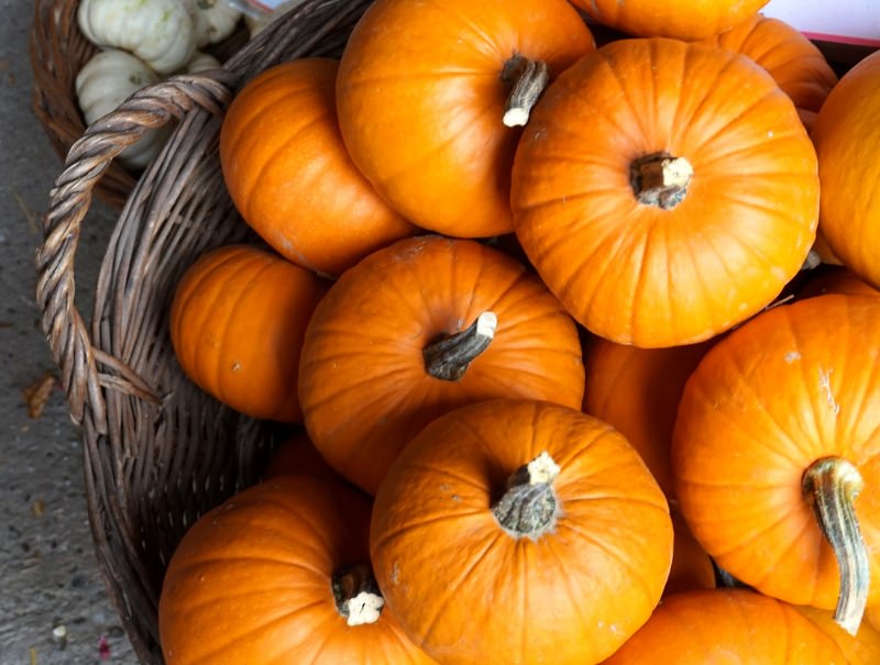 Bambini: i primi 5 cibi anti freddo che aiutano a combattere il raffreddore e l'influenza zucca