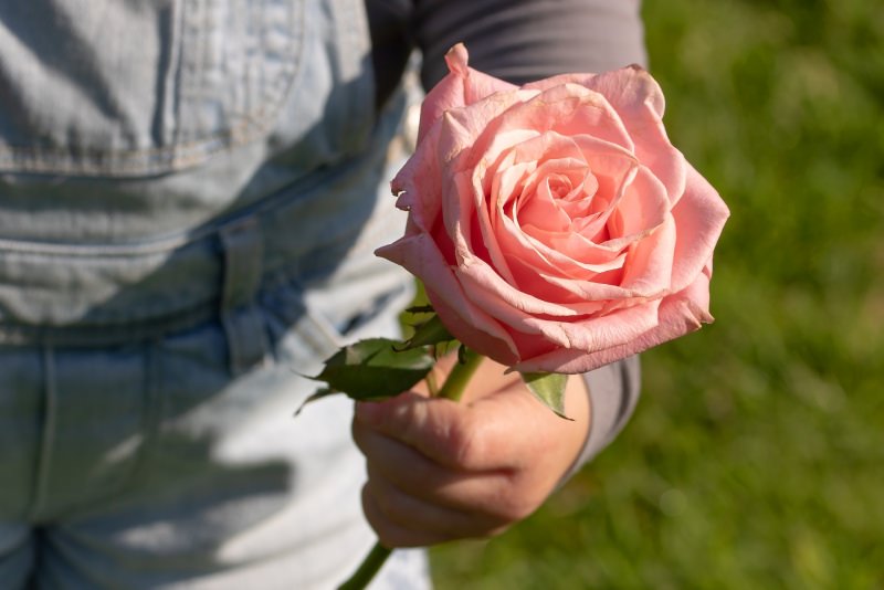 Festa della mamma, le migliori idee regalo per le mamme rosa