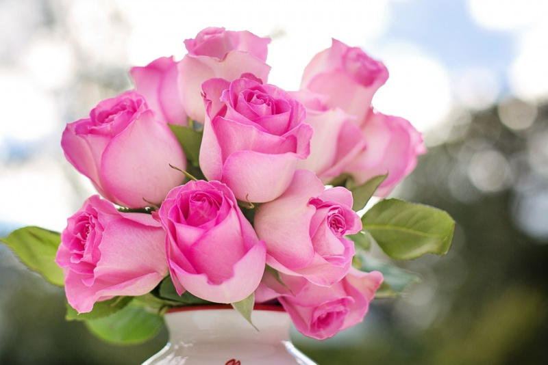 bouquet mazzo di rose rosa