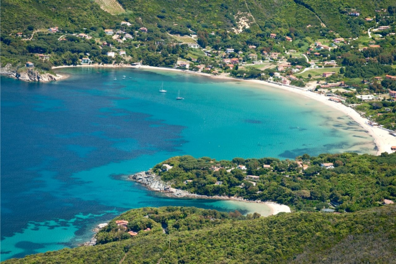 spiaggia di Procchio isola d'Elba bosco mare