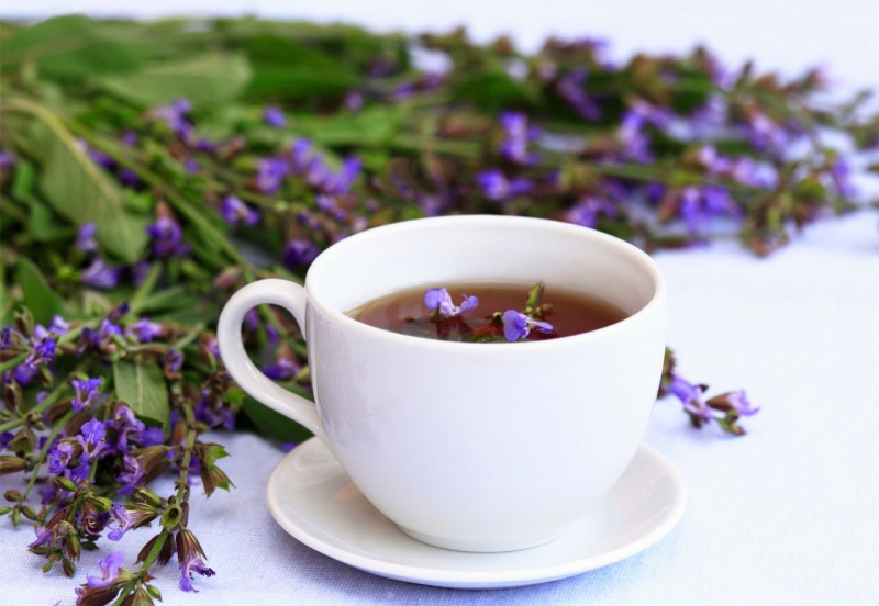 fiori e foglie salvia tisana