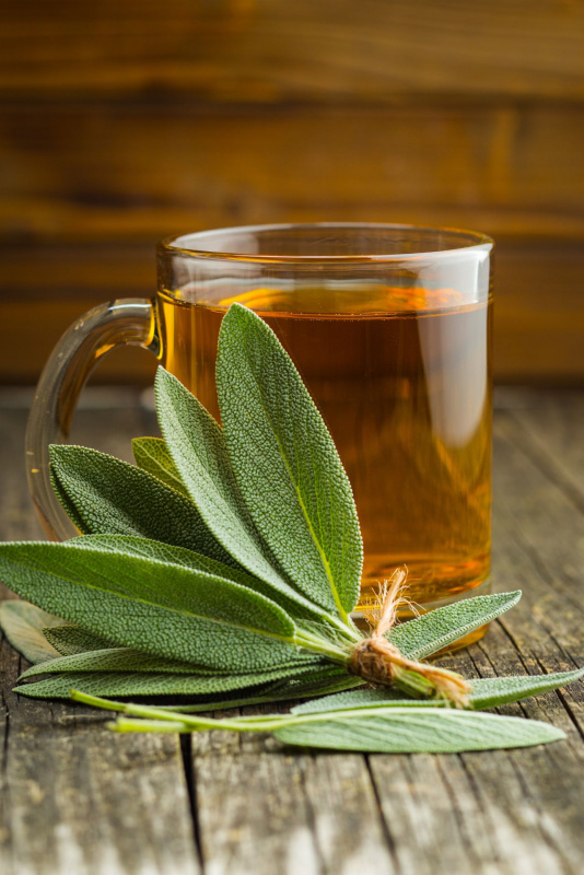 decotto foglie di salvia verde