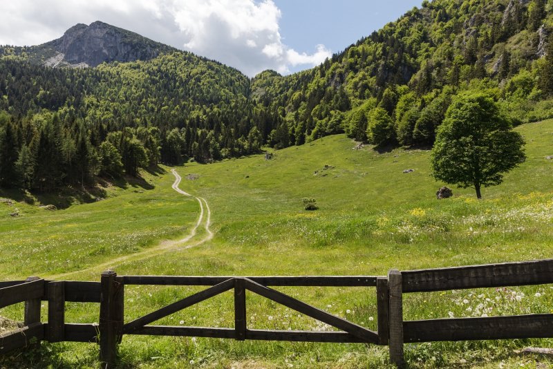 Il Trento DOC in Italia e nel mondo: storia del concorrente dello champagne