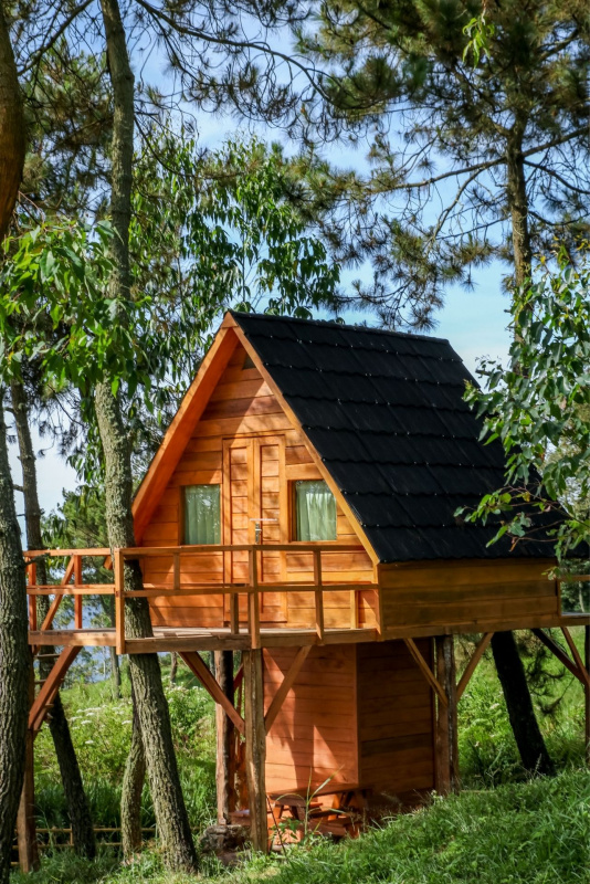 casa di legno albero glamping