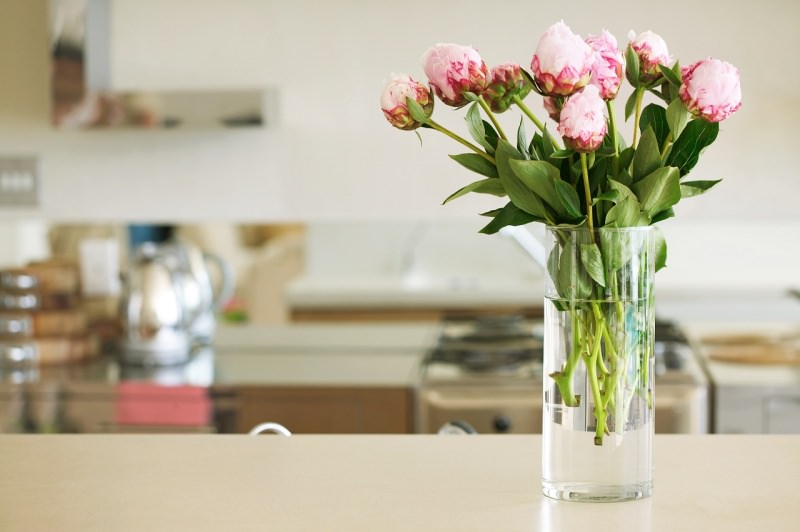 vaso con fiori rosa cucina primavera