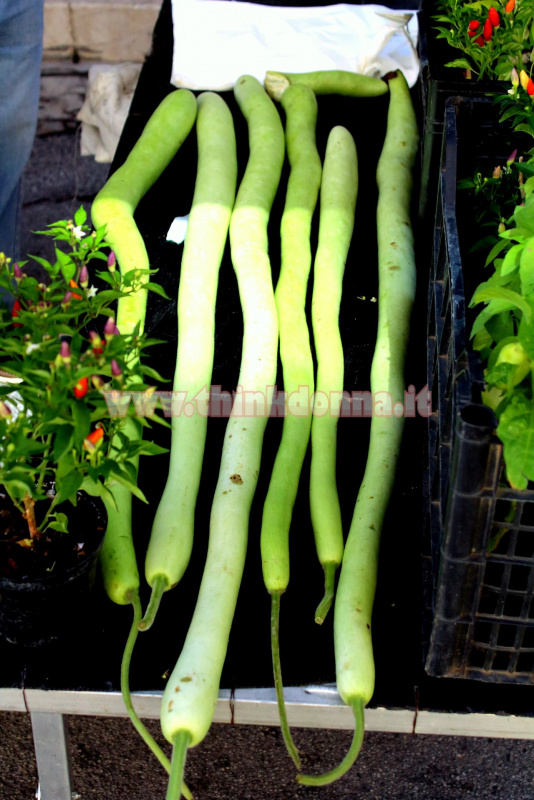zucchina lunga siciliana al mercato bancarella